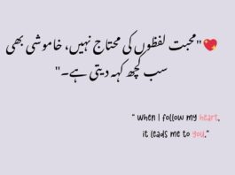 One-Line Urdu Quotes