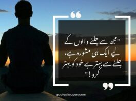 Attitude Quotes In Urdu