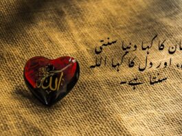 Allah Quotes in Urdu