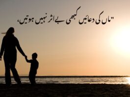Mother Quotes in Urdu