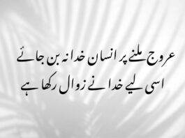 Life Quotes in Urdu