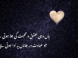 Love Poetry in Urdu